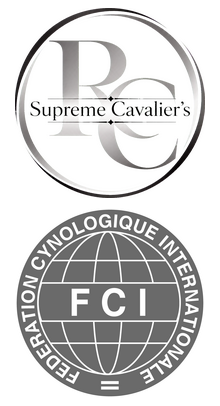 Supreme Cavalier´s (ehem. Cavaliere vom Erlenbacher-Hemmerich)